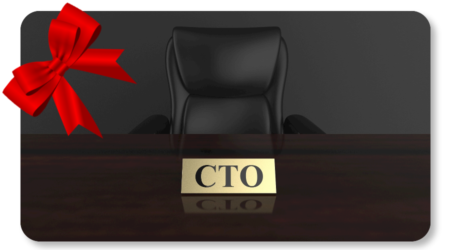 成功交付TOP企业汽车电子软件CTO
